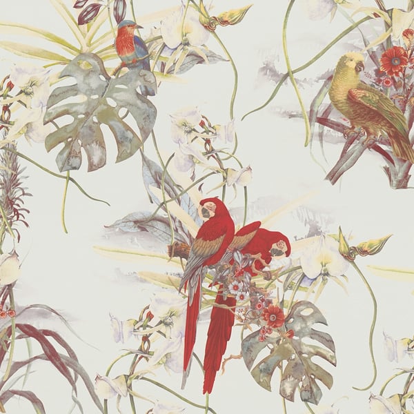 Galerie Wallpaper Product code: BW51028 - Blooming Wild Wallpaper Collection - Cream Red White Colours -  