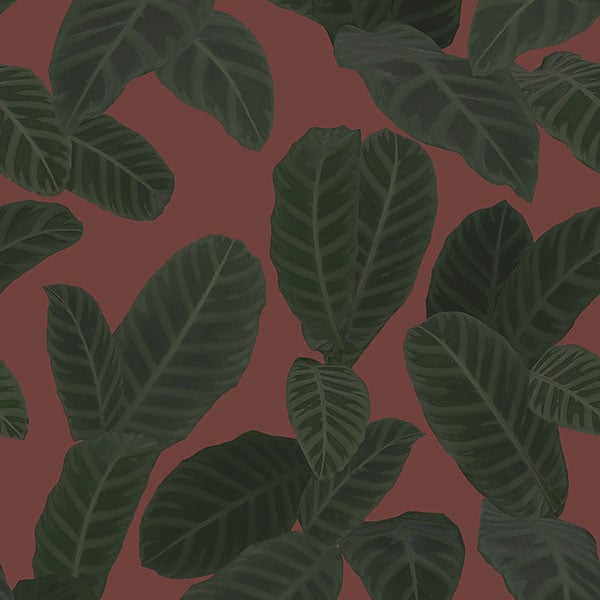 Galerie Wallpaper Product code: ED13125 - Ted Baker Eden Wallpaper Collection - Red Green Colours -  