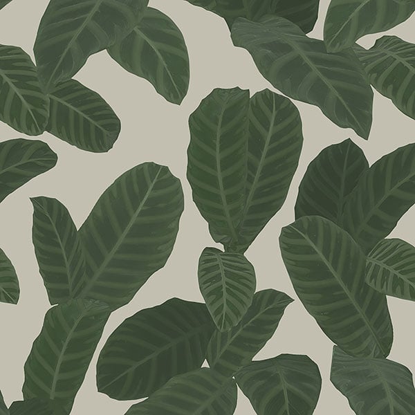 Galerie Wallpaper Product code: ED13128 - Ted Baker Eden Wallpaper Collection - Taupe Green Colours -  