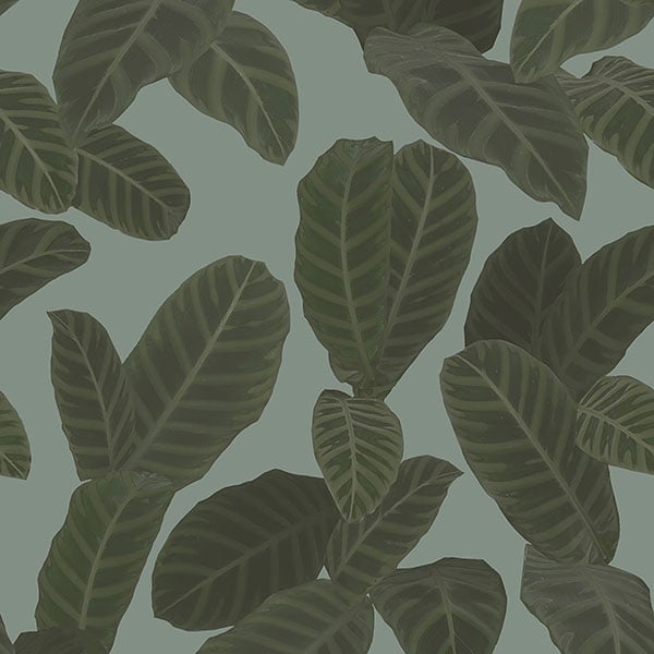 Galerie Wallpaper Product code: ED13129 - Ted Baker Eden Wallpaper Collection - Blue Green Colours -  