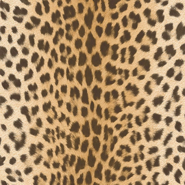 Galerie Wallpaper Product code: EW3803 - Urban Living Wallpaper Collection -   