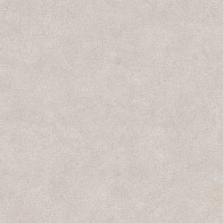 Galerie Wallcoverings Product Code 7332 - Evergreen Wallpaper Collection - Warm Beige Colours - Veining Leaf Texture Design