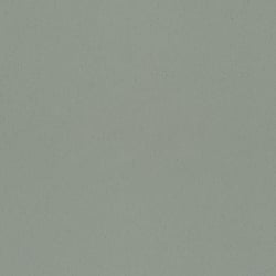 Galerie Wallcoverings Product Code: 77002 - Hidden Treasures Wallpaper Collection Galerie Wallcoverings Product Code 77002 - Hidden Treasures Wallpaper Collection - Avocado Colours - Avokado Plain Design