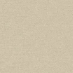 Galerie Wallcoverings Product Code DC30117 - Designer Colours Wallpaper Collection - Beige Colours - Abstract Texture Design