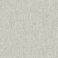 Galerie Wallcoverings Product Code DC30126 - Designer Colours Wallpaper Collection - Beige Colours - Climbing Texture Design