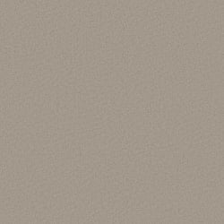 Galerie Wallcoverings Product Code DC30156 - Designer Colours Wallpaper Collection - Beige Colours - Raised Texture Design