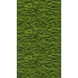 Galerie Wallcoverings Product Code WH45208M - Welcome Home Murals Wallpaper Collection - Green Colours -  