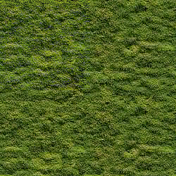 Galerie Wallcoverings Product Code WH45208M - Welcome Home Murals Wallpaper Collection - Green Colours -  