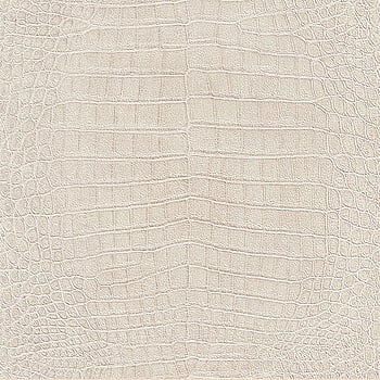 Galerie Wallcoverings Product Code 474152 - African Queen 2 Wallpaper Collection -   