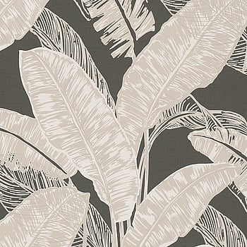 Galerie Wallcoverings Product Code 6769-50 - Imagine Wallpaper Collection - Brown Beige Colours -  