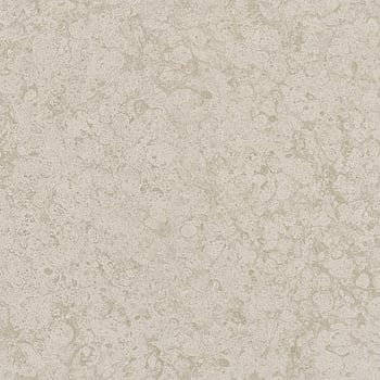 Galerie Wallcoverings Product Code 99111 - Earth Wallpaper Collection - Beige Colours -  