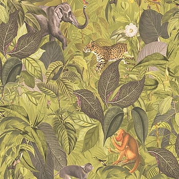 Galerie Wallcoverings Product Code BW51026 - Blooming Wild Wallpaper Collection - Yellow Green Colours -  