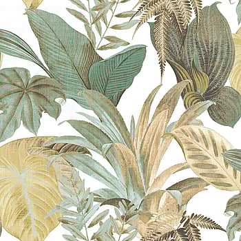 Galerie Wallcoverings Product Code CM27015 - Botanica Wallpaper Collection - Green Colours -  