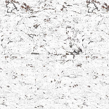 Galerie Wallcoverings Product Code DB32900 - Daisy Bennett Wallpaper Collection - Whites & Off Whites Colours -  