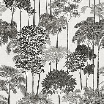 Galerie Wallcoverings Product Code HV41085 - Havana 2 Wallpaper Collection - Grey, Black, White Colours -  