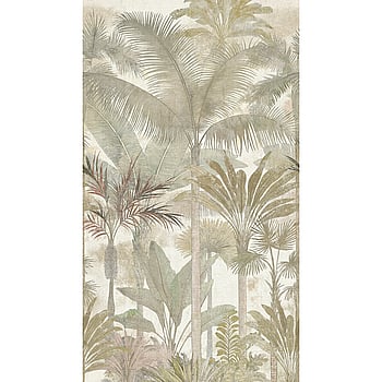 Galerie Wallcoverings Product Code HV41110M - Havana 2 Wallpaper Collection - Beige, Cream, Green Colours -  