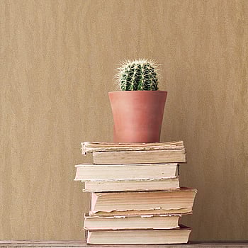 Galerie Wallcoverings Product Code SK34745 - Simply Silks 3 Wallpaper Collection -   